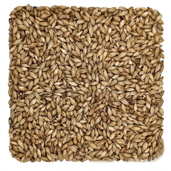 Home Brew Ohio Avangard Malz Premium Munich Malt Dark 15L Grain 55lb