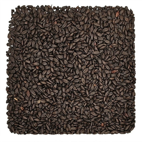 Home Brew Ohio Black Grain 1lb