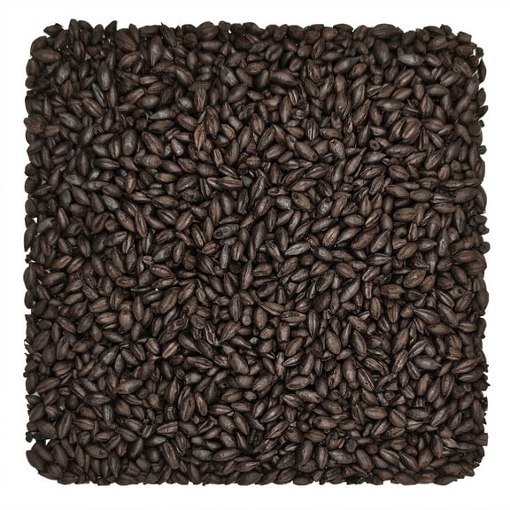 Home Brew Ohio Blackswaen Coffee Malt 190L Grain 55lb
