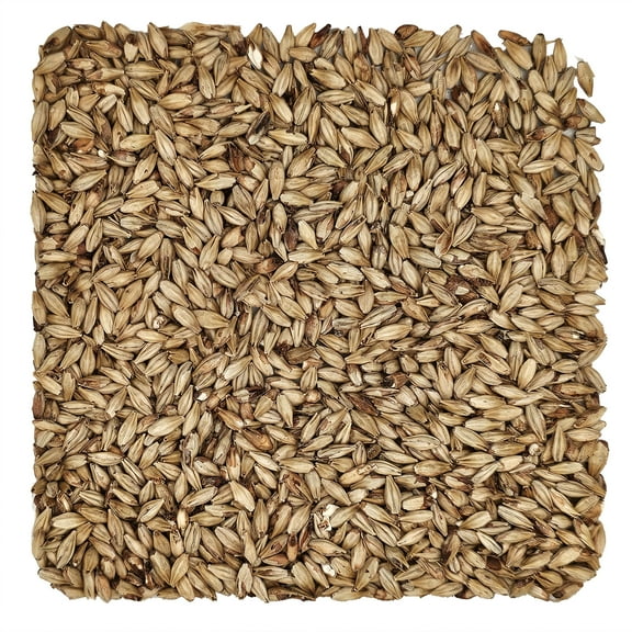 Home Brew Ohio Briess 2-Row Aromatic Munich Malt 20L Grain 50lb