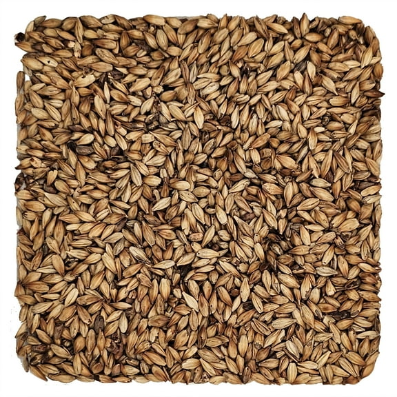 Home Brew Ohio Caramel 30L Grain 1lb