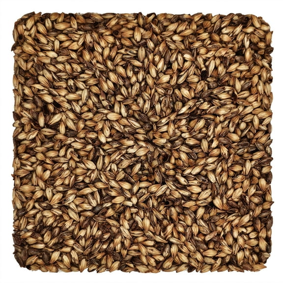Home Brew Ohio Caramel 90L Grain 1lb