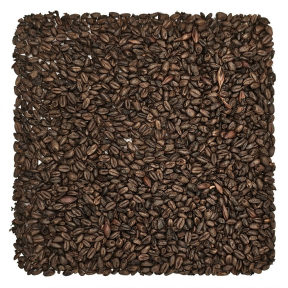 Home Brew Ohio Chocolate Grain 5lb