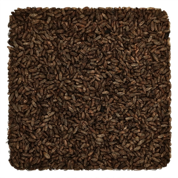 Home Brew Ohio Chocolate Rye Grain 10lb
