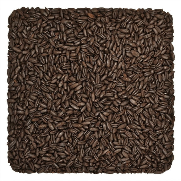 Home Brew Ohio Chocolate Wheat Grain 10lb