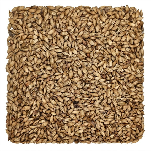 Home Brew Ohio Hell Malt Caramel 8L Grain 5lb