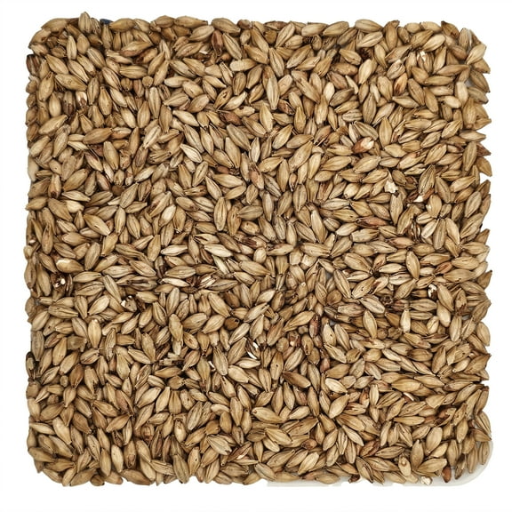 Home Brew Ohio Munich Dark 15L Grain 10lb