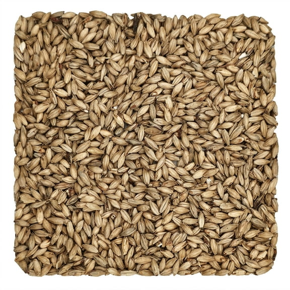 Home Brew Ohio Munich Light 8L Grain 1lb
