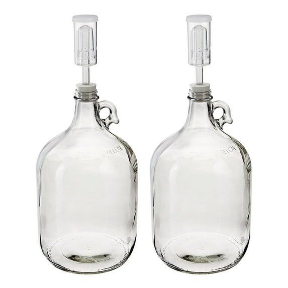Home Brew Ohio One Gallon Glass Complete Fermenter Set of 2