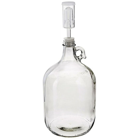 Home Brew Ohio One Gallon Glass Complete Fermenter