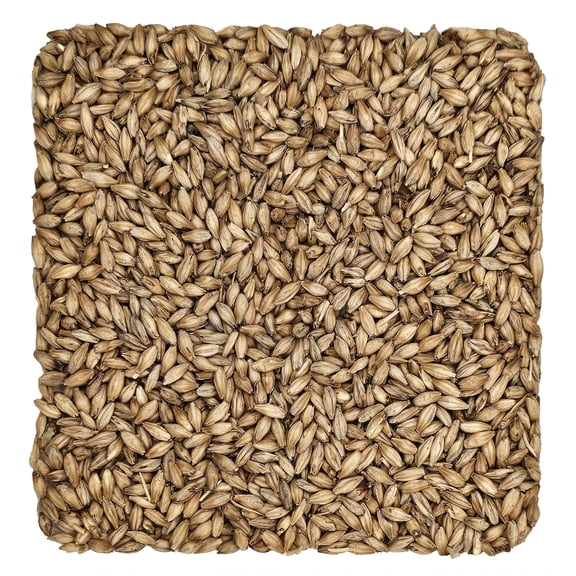 Home Brew Ohio Pilsen Grain 5lb
