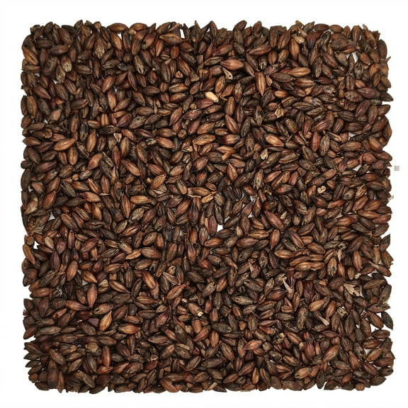Home Brew Ohio Roasted Barley Grain 5lb