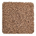 thumbnail image 1 of Home Brew Ohio Spelt Grain 5lb, 1 of 6
