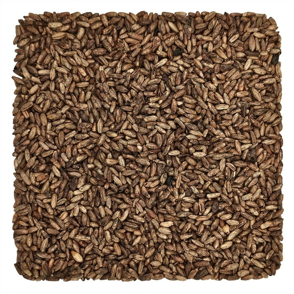 Home Brew Ohio Weyermann CaraRye Grain 55lb