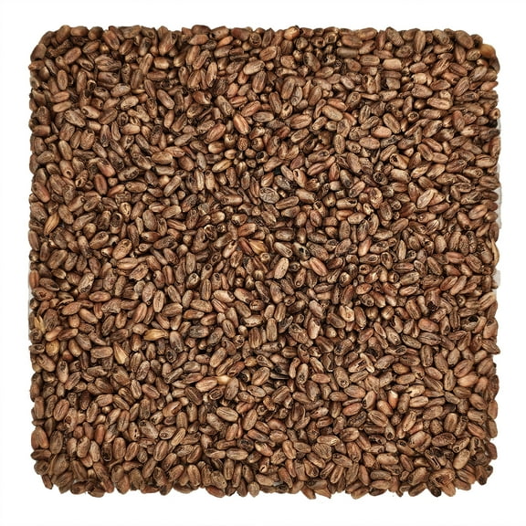 Home Brew Ohio Weyermann CaraWheat Grain 55lb