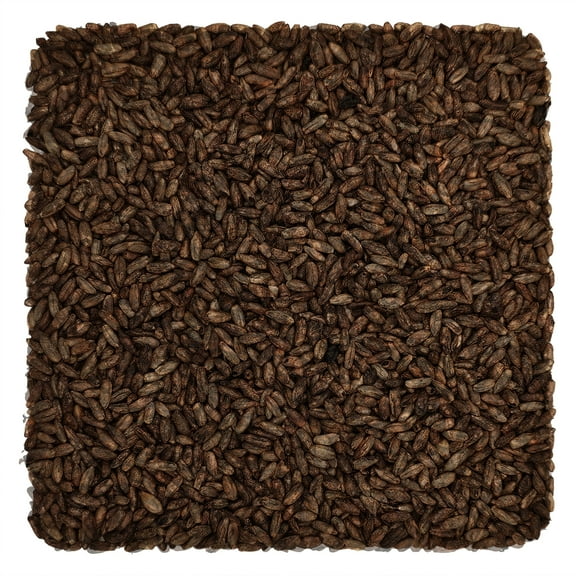 Home Brew Ohio Weyermann Chocolate Rye Grain 55lb