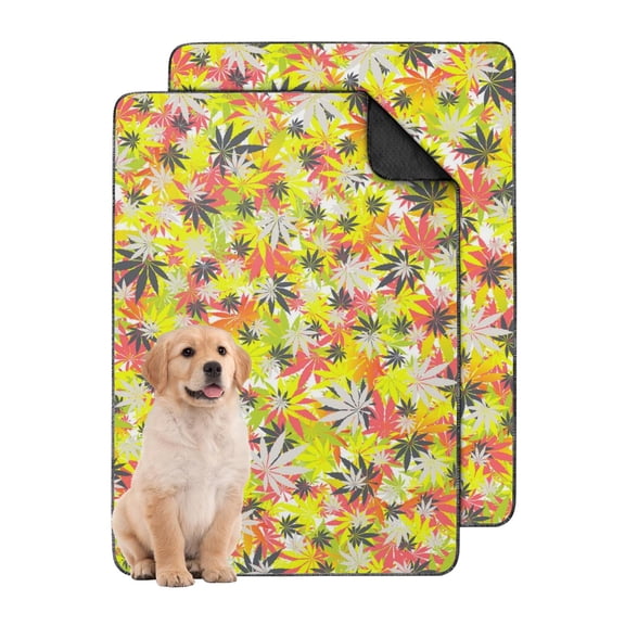 Home Care 24" x35" Washable Pet Training Pads, Reusable Potty Pads for Dogs with High Absorption and Plant Pattern Prints