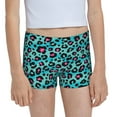 Easygdp Leopard 1 Girls Hipster Cotton Underwear Little Girls