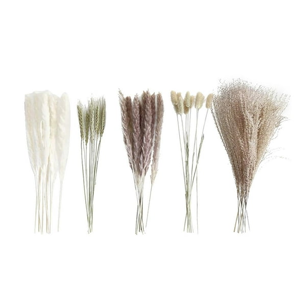Home Decor Clearance Qianduo Small Dried Flower Bouquet Small Whisk Small Pampas Grass Dried Flowers Rabbittail Khaki, 1X Bouquet