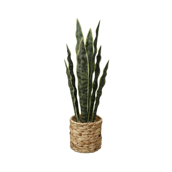 Home Decor Collection Flora Bunda 24.3" Artificial Snake Plant in Rattan Basket
