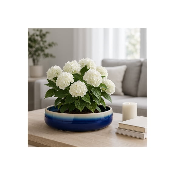 Home Decor Flower Pot and Planters - Wide Ceramic Planter for Indoor and Outdoor Use - Decorative Plant Pot for Succulents or Orchid Arrangements in Room, Garden, or Patio Decor - 4" Blue & White