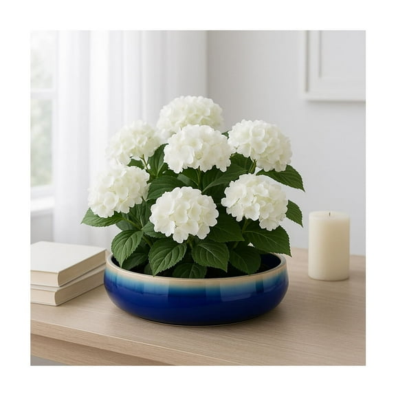 Home Decor Flower Pot and Planters - Wide Ceramic Planter for Indoor and Outdoor Use - Decorative Plant Pot for Succulents or Orchid Arrangements in Room, Garden, or Patio Decor - 4" Blue & White