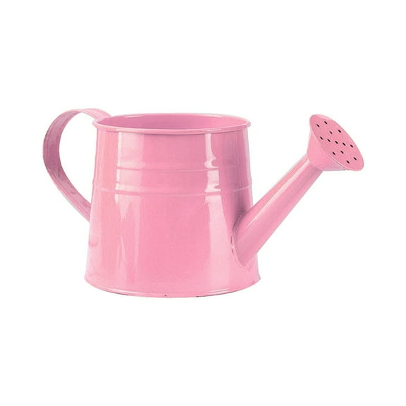 Home Decor Galvanized Shower Bucket Tinplate Watering Kettle Small Flower Pot Flower Pot Watering Cans Happy Day!