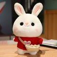 thumbnail image 1 of Home Decor Gnobogi Rabbit Toys Cute Rabbit Dolls Plush Toys Children's Gift Doll 30cm on Clearance, 1 of 4