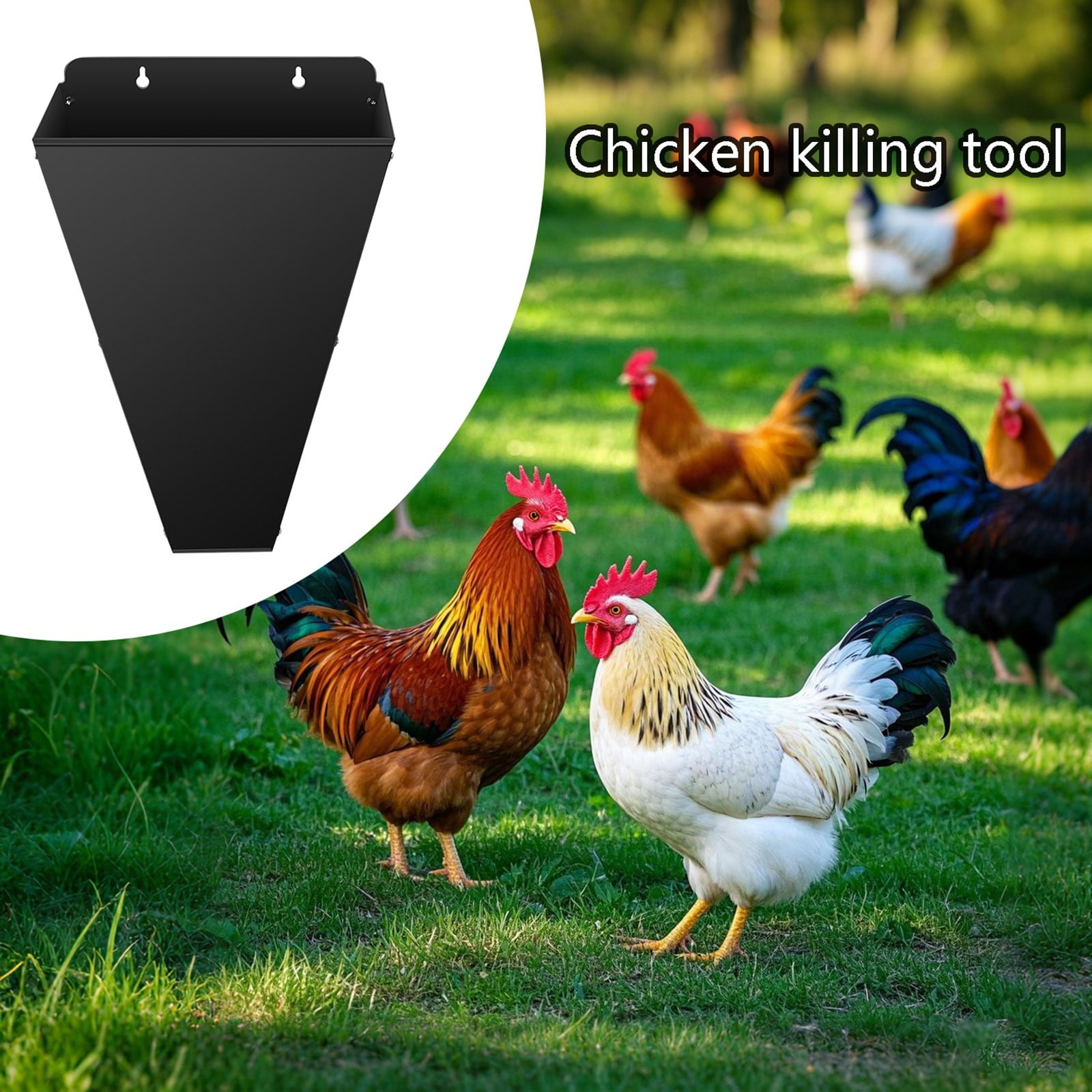Poultry Cone, Butchering Cone, Processing Funnel, Flat Back Steel Frame ...