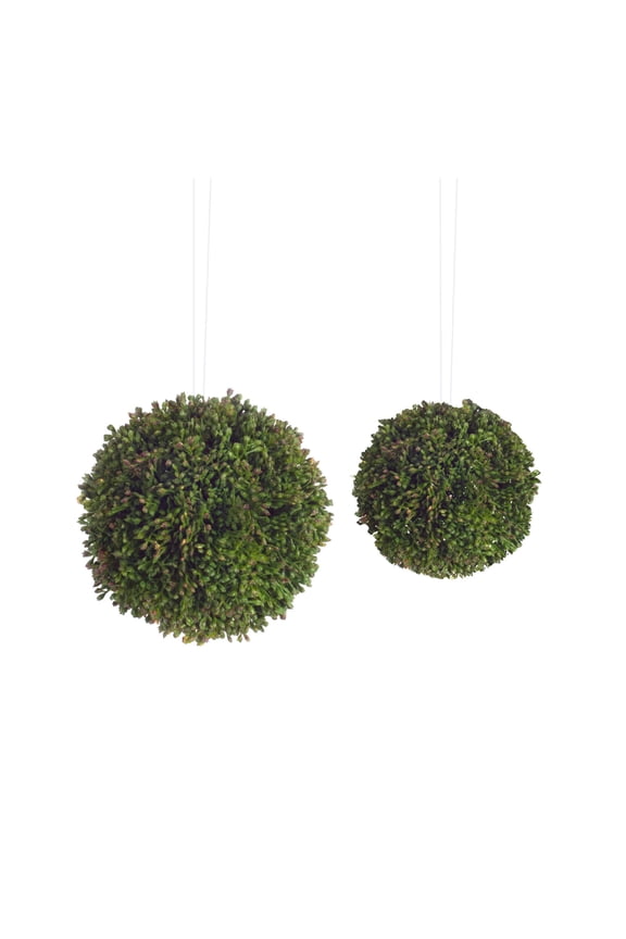 Home Decor Seedum Orbs (Set Of 8) 4"H Plastic