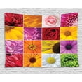 thumbnail image 1 of Home Decor Tapestry, Rose Sunflower Violet Colorful Flowers Romance Botanical Plants Image, Wall Hanging for Bedroom Living Room Dorm Decor, 60W X 40L Inches, Orange Yellow Pink, by Ambesonne, 1 of 2