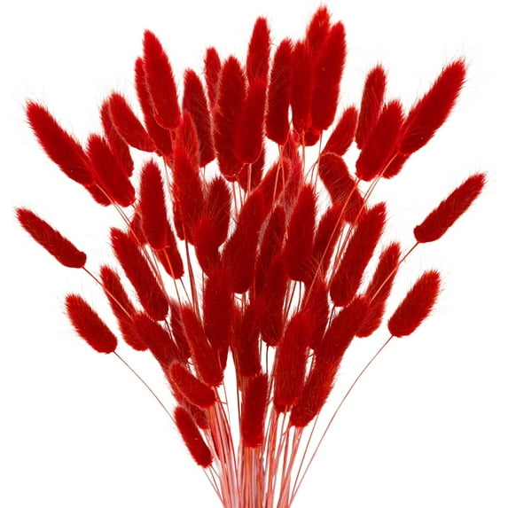 Home Decoration Lagurus Ovatus Rabbit Tail Dried Flowers, Real Flower, Eternal Flower Dried Grass,Flower Bouquet, Natural Material Shooting Props Dried Flowers 50PCS