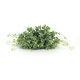 thumbnail image 1 of Home Decorative Boxwood Half Orb (Set of 6) 10"D Plastic, 1 of 2