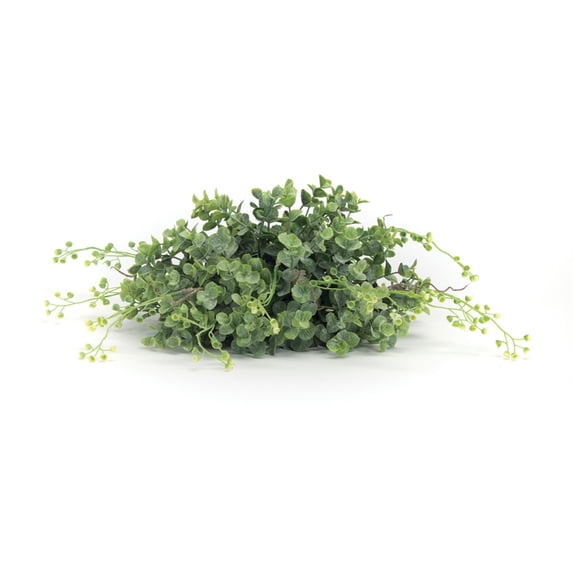Home Decorative Boxwood Half Orb (Set of 6) 10"D Plastic