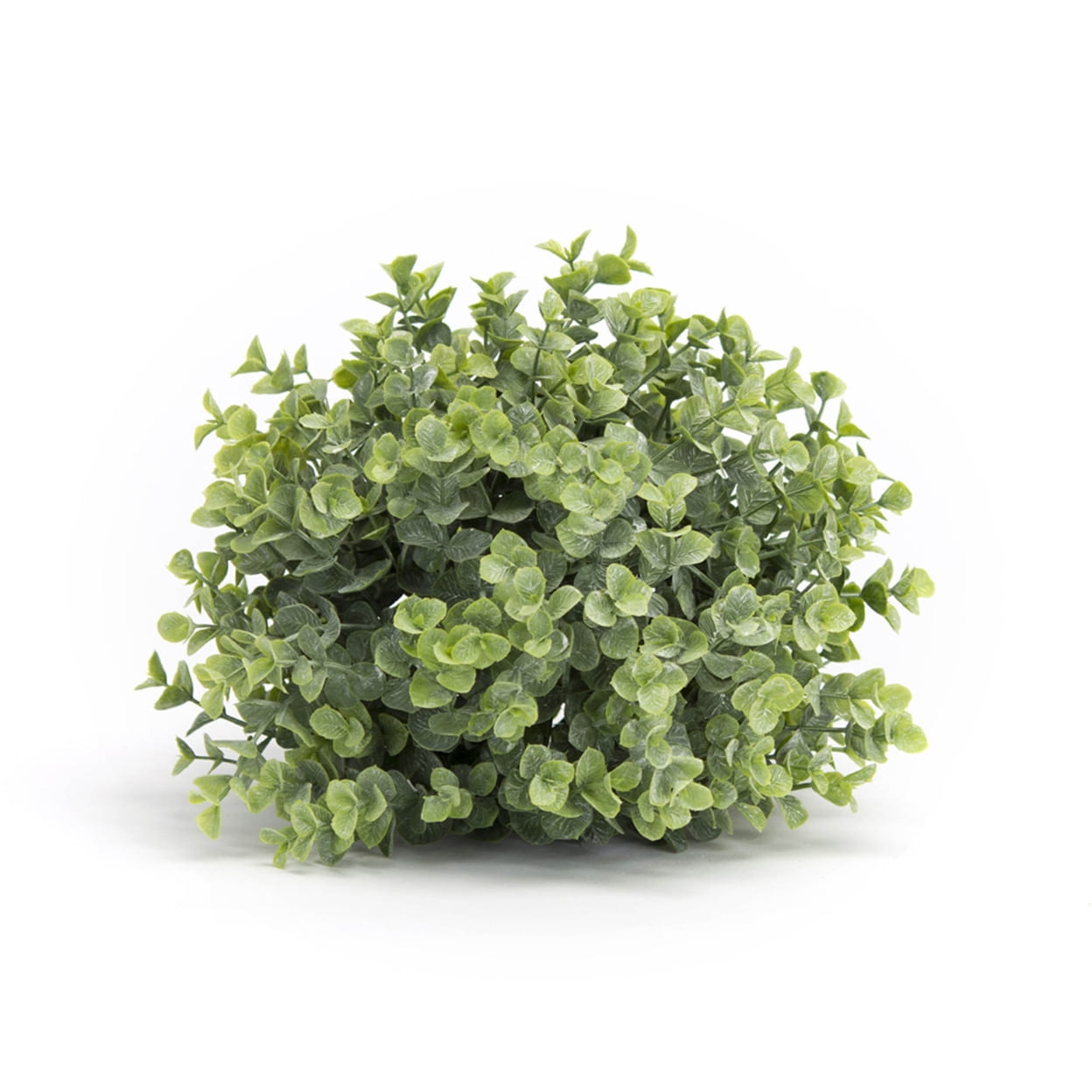Verdant Tabletop Boxwood Shrub Set, Plastic, 7" Diameter