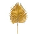 thumbnail image 1 of Home Decorative Fan Palm Leaf (Set of 6) 37"H Plastic, 1 of 2