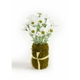 thumbnail image 1 of Home Decorative Floral White, Brown Vase Insert (Set Of 6) - Polyeseter, Plastic, 1 of 1