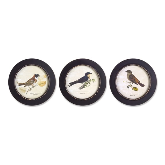 Home Decorative Framed Bird Print (Set of 3) 9.5"D MDF