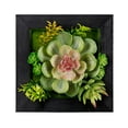 thumbnail image 1 of Home Decorative Hanging Succulent Wall Decor (Set Of 6) Plastic, 1 of 1