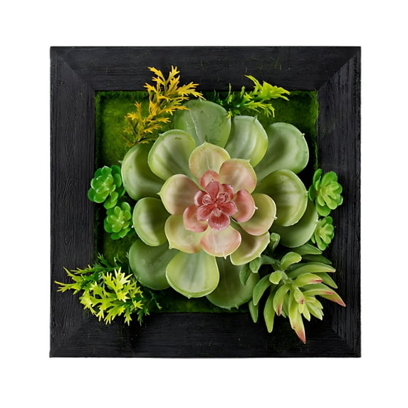 Home Decorative Hanging Succulent Wall Decor (Set Of 6) Plastic