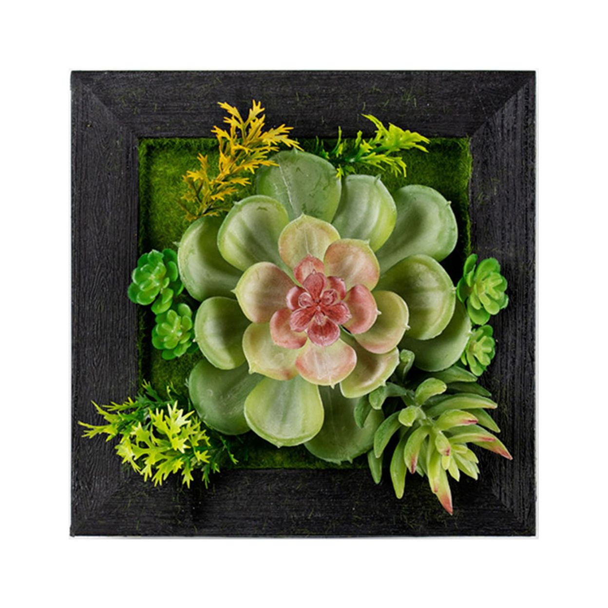 Set of 6 Green and Pink Hanging Succulent Wall Decor