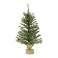thumbnail image 1 of Home Decorative Mini Pine Tree 2'H (Set of 2) PVC, 1 of 2