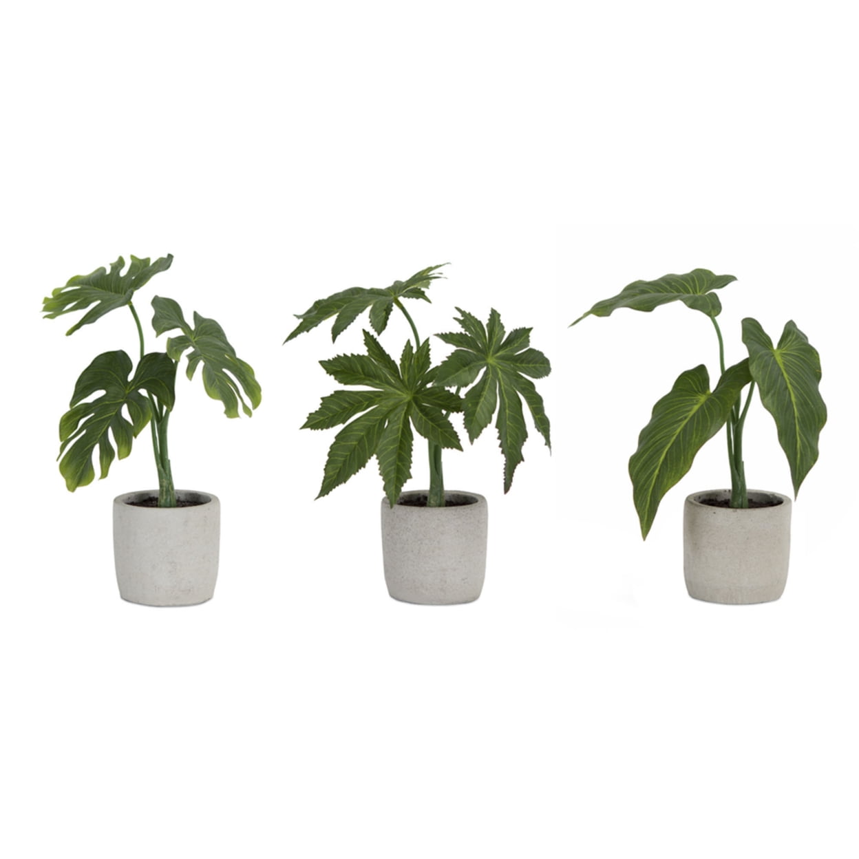 Set of 6 Green Potted Philodendron Plants with Grey Pots