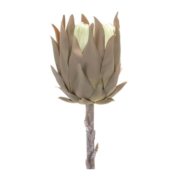 Home Decorative Protea Stem (Set of 6) 20"H Plastic