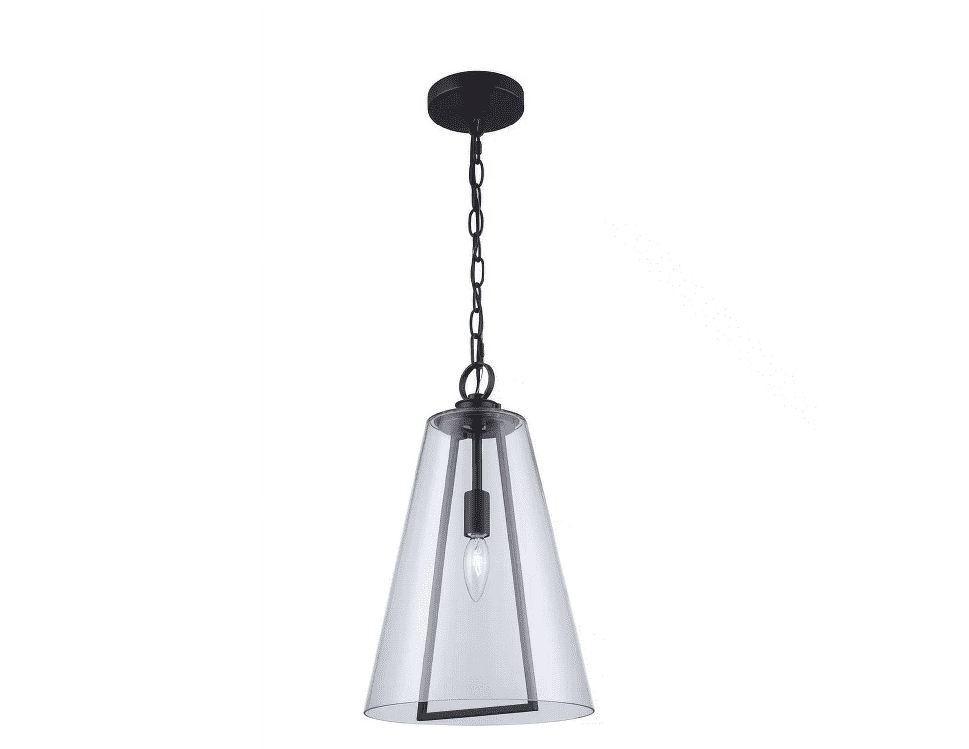 Siobhan Medium Black Metal and Clear Glass Hanging Pendant Light