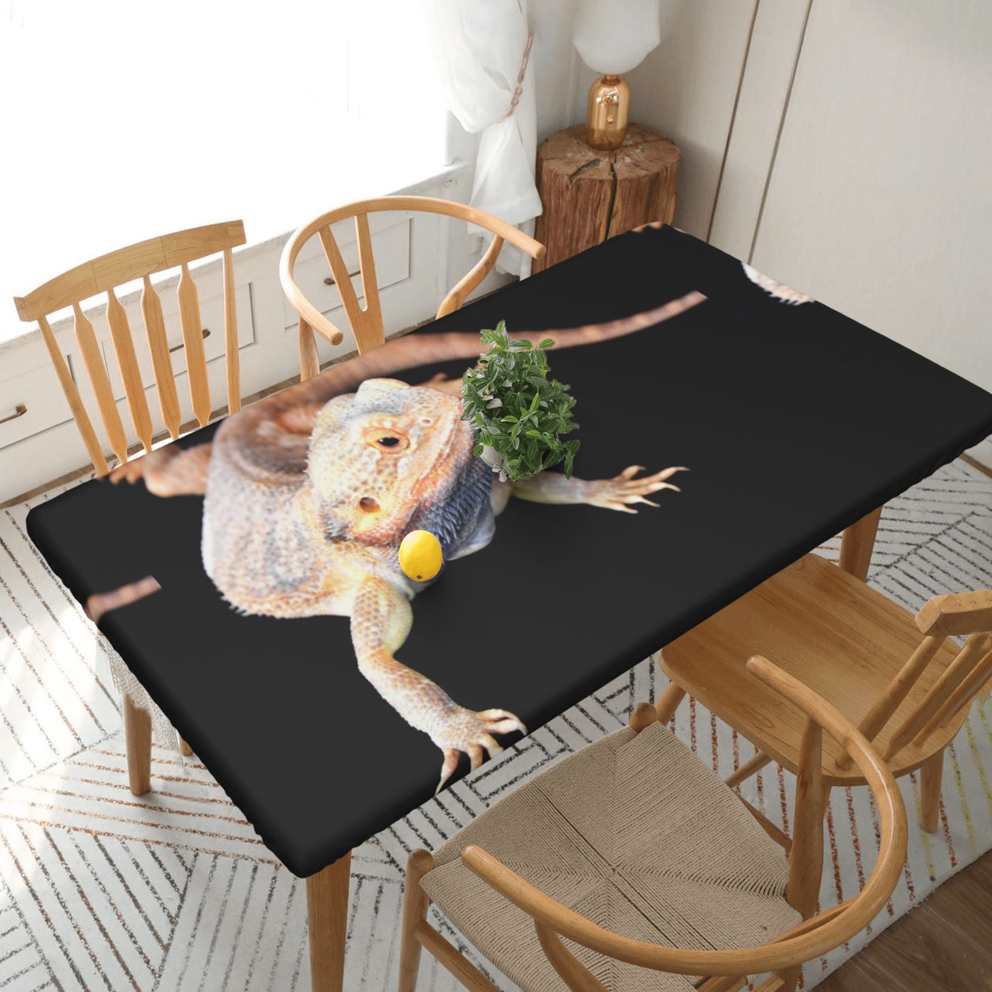 Bearded dragon coffee table sale
