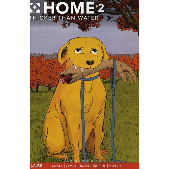 Home (Double Take) #2 VF ; Double Take Comic Book