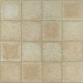 thumbnail image 1 of Home Dynamix Flooring: Dynamix Vinyl Tile: 9049: 2 Boxes 40 Square Feet, 1 of 1