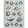 thumbnail image 1 of Home Dynamix Marine Sea Shells Coastal Starfish Indoor/Outdoor Area Rug, Ivory/Blue, 5'2"x7'2", 1 of 11
