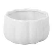 Home Essentials & Beyond 95578 21 oz White Pumpkin Bowl for Unisex - Set of 4